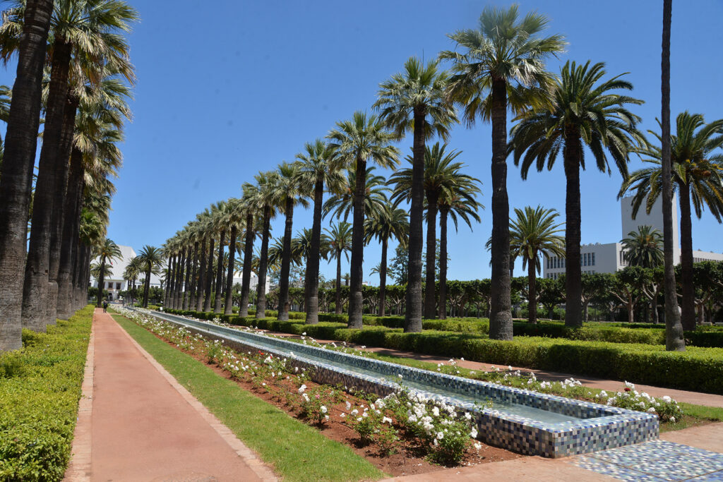 Casablanca : ouverture des portes du parc de la Ligue Arabe ce mercredi Casablanca : ouverture des portes du parc de la Ligue Arabe ce mercredi