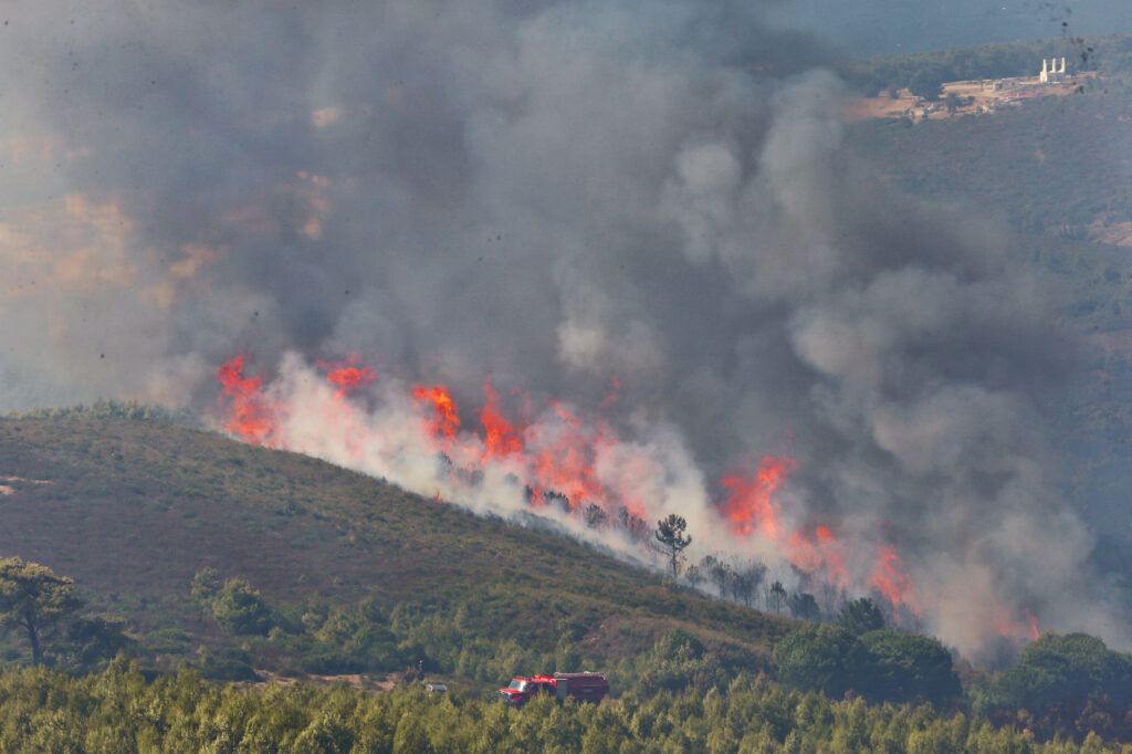 Chefchaouen: 725 ha de forêt ravagés par le feu, 4 Canadairs mobilisés Chefchaouen: 725 ha de forêt ravagés par le feu, 4 Canadairs mobilisés