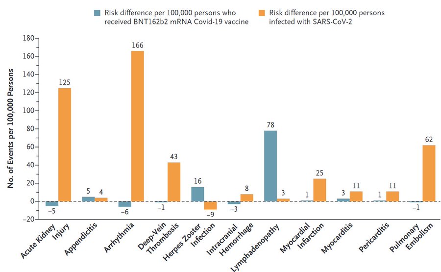 Les effets indésirables sont plus élevés et plus graves après l’infection au Covid-19 qu’après la vaccination (étude) Les effets indésirables sont plus élevés et plus graves après l’infection au Covid-19 qu’après la vaccination (étude)