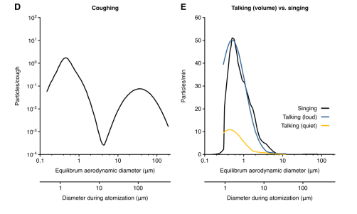 Covid. L'utilisation des tests antigéniques rapides peut réduire la transmission (études)