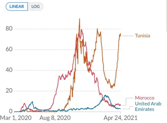 Pr El Adib: Le Covid est une maladie catastrophique, la vaccination massive est la solution