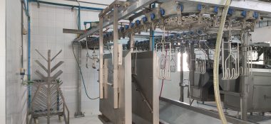 Contre l'anarchie de l'informel, la FISA promeut des abattoirs avicoles à capacité réduite