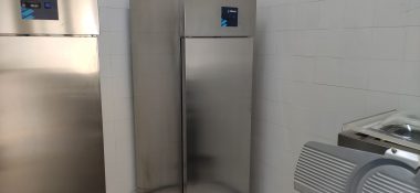 Contre l'anarchie de l'informel, la FISA promeut des abattoirs avicoles à capacité réduite