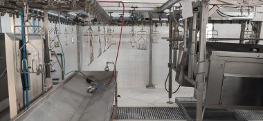 Contre l'anarchie de l'informel, la FISA promeut des abattoirs avicoles à capacité réduite